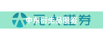 中东衍生品图鉴