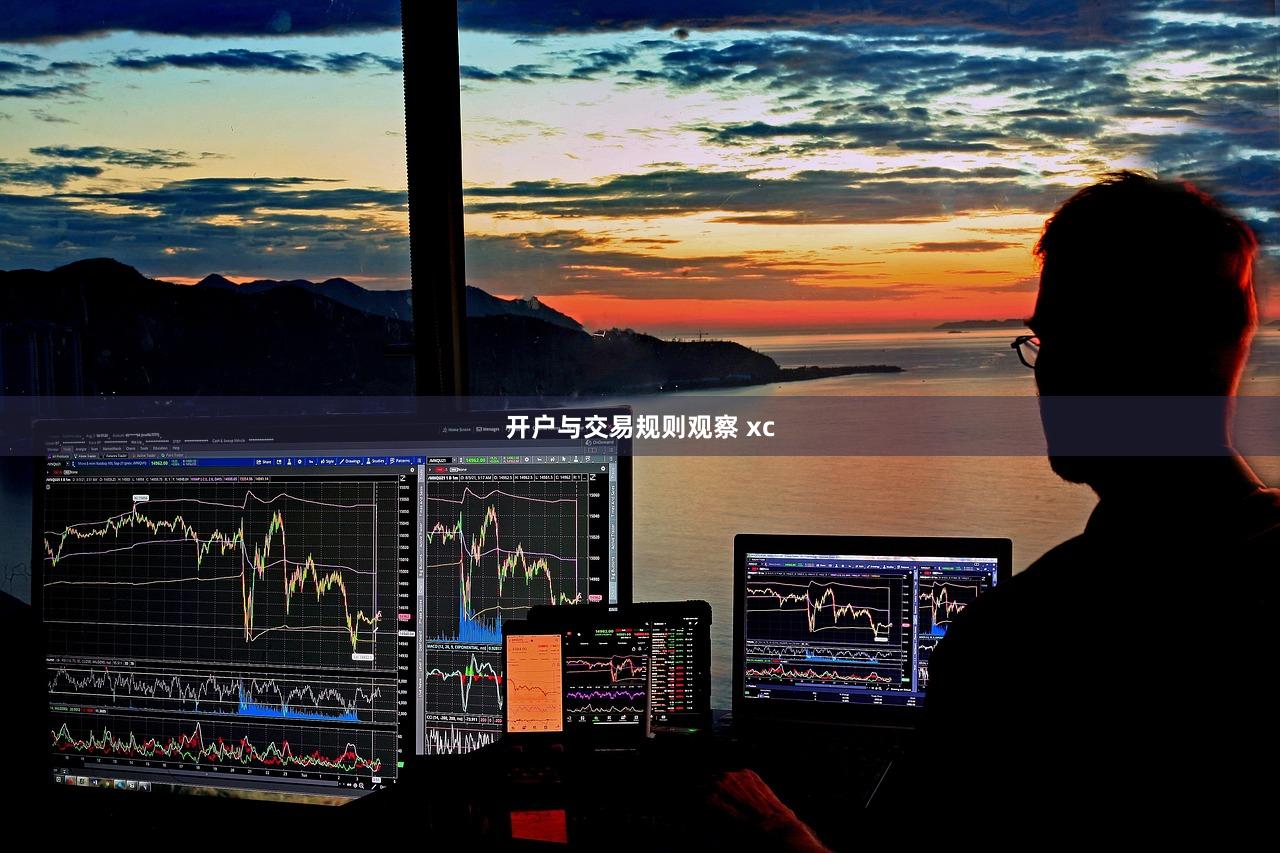 开户与交易规则观察 xc